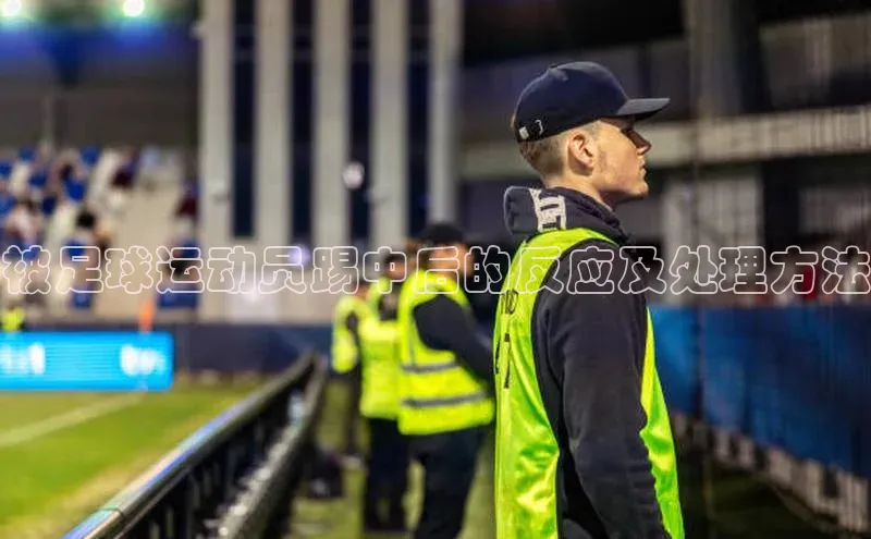 熊猫app下载百度智能云