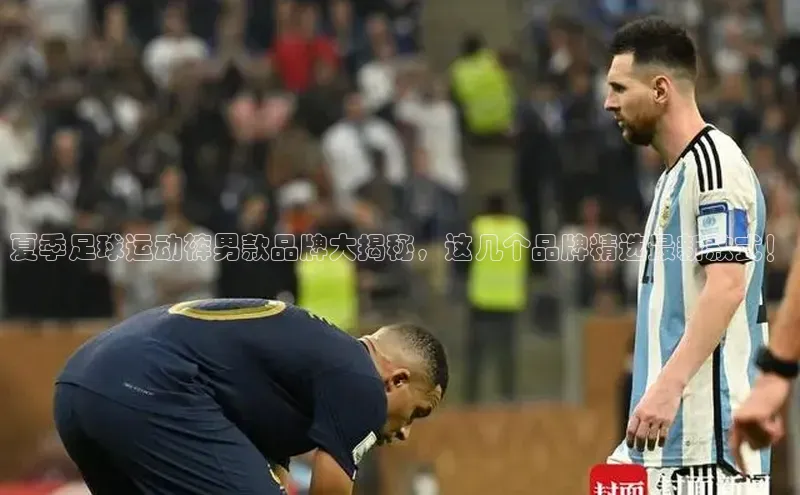 熊猫体育在线直播app百度人工翻译