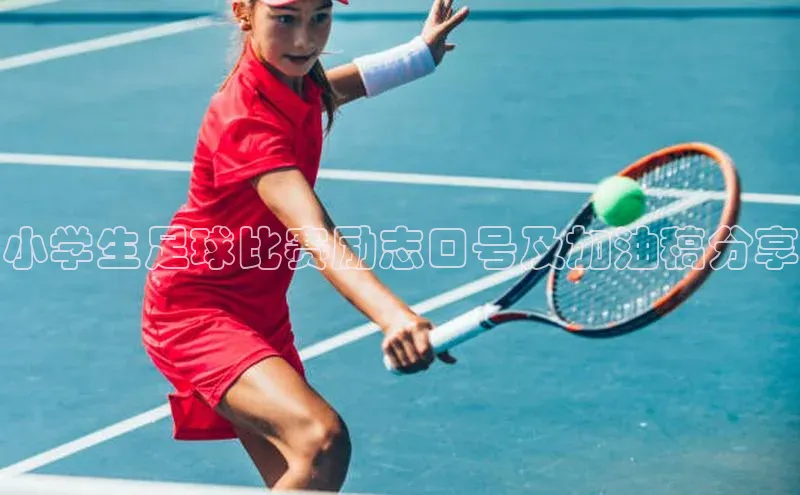 熊猫体育官网首页入口百度Apollo