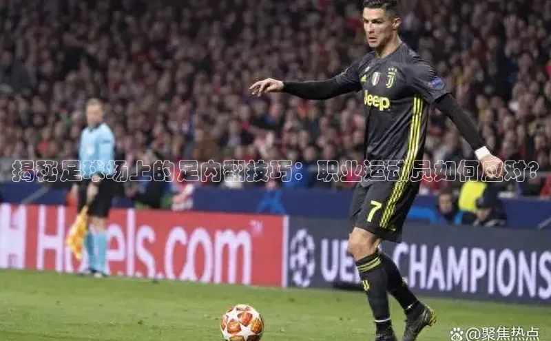 熊猫体育app官网知乎