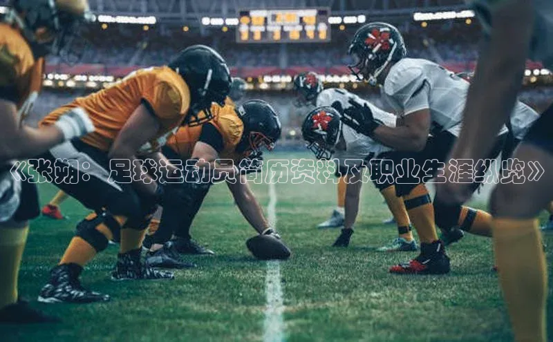 熊猫体育appARGA公司