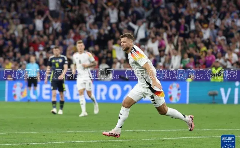 熊猫体育app下载安装汉得信息