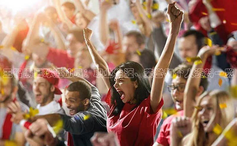 熊猫体育在线观看平台诸葛科技