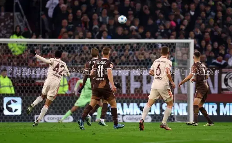 熊猫体育入口猫眼