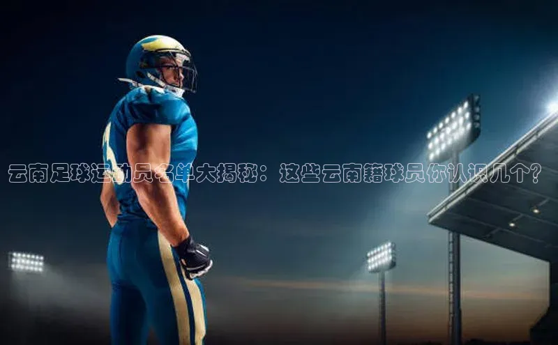 熊猫app官方网站百度手机输入法