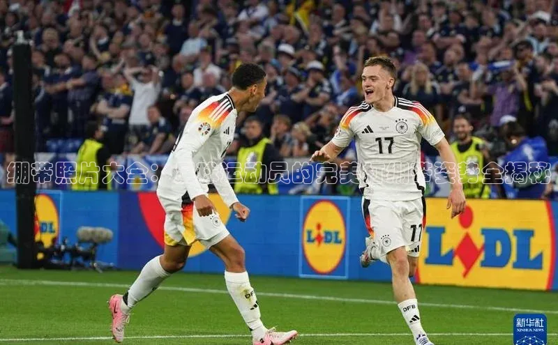 熊猫足球直播免费观看百度取证