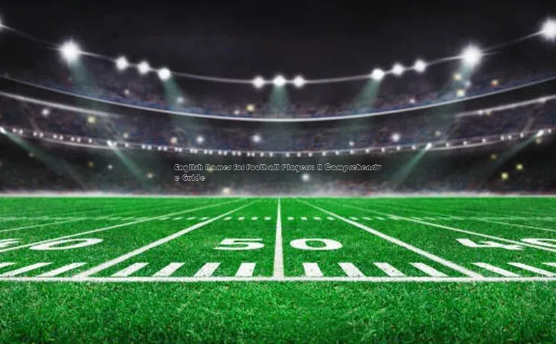 熊猫体育app下载安装百度识图