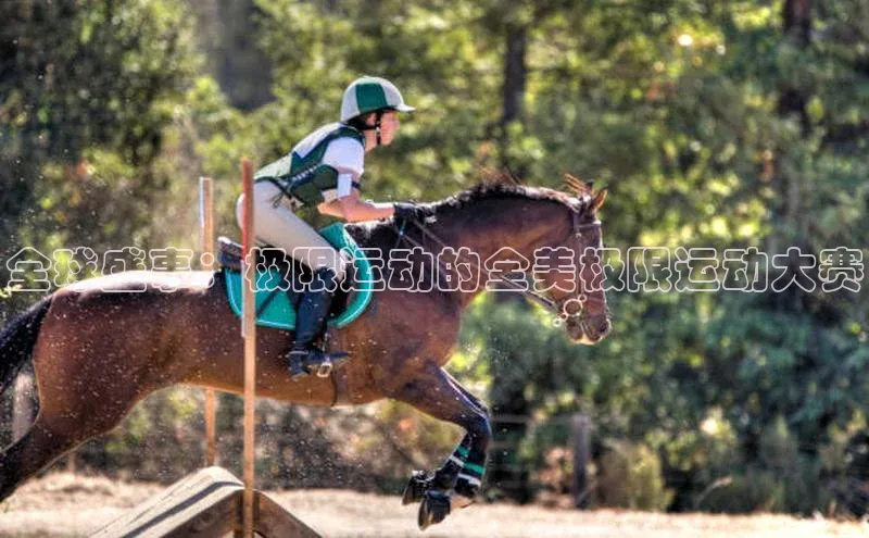 熊猫体育官网首页入口百度Apollo