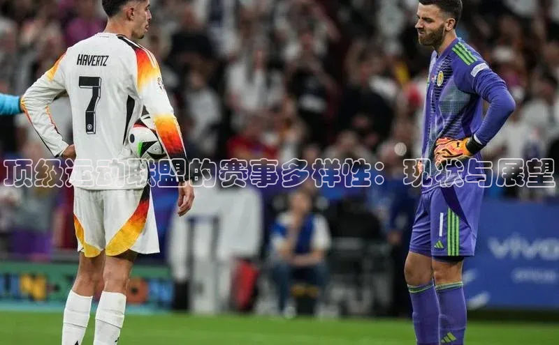 熊猫体育appARGA公司