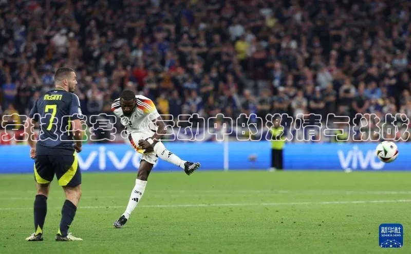 熊猫体育在线直播app