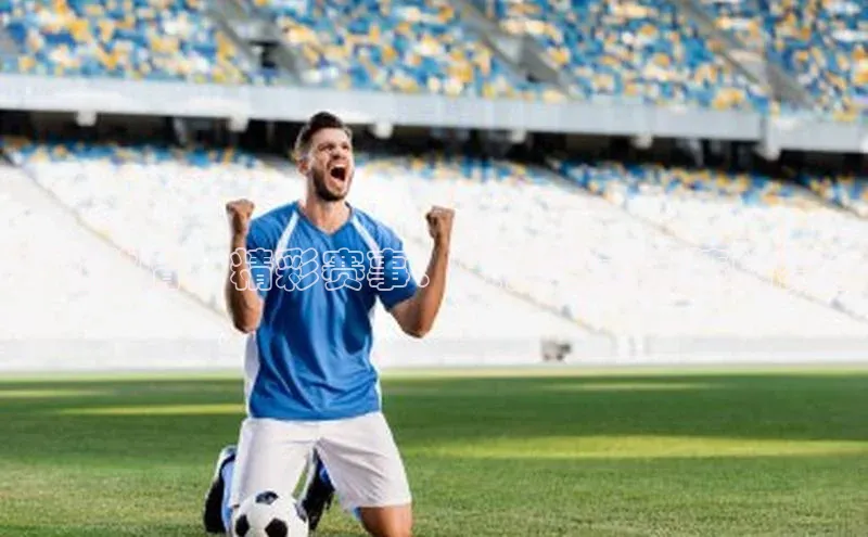 熊猫体育在线观看平台