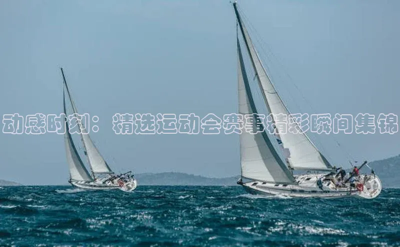 熊猫体育在线直播app