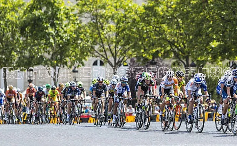 熊猫体育app官方入口