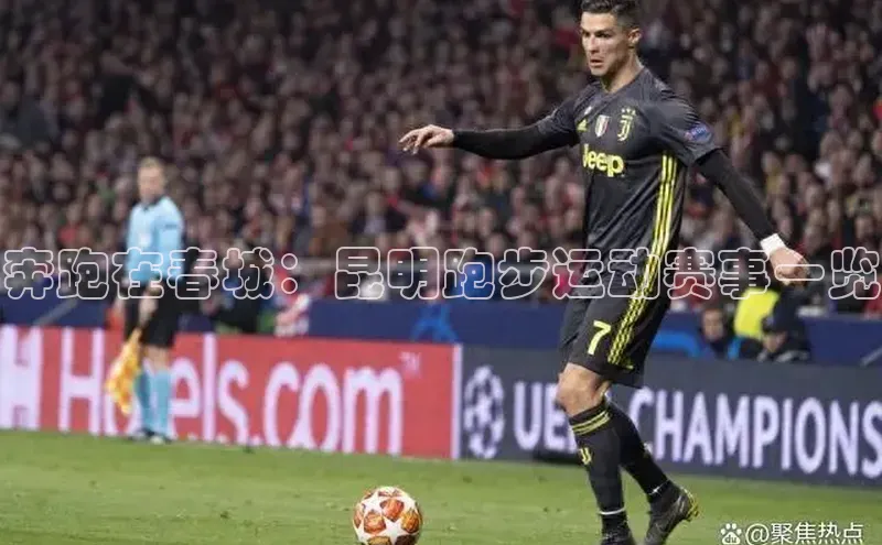 熊猫体育网页版