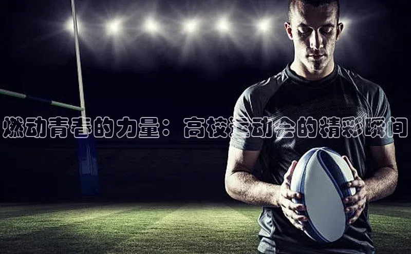 熊猫体育app官网