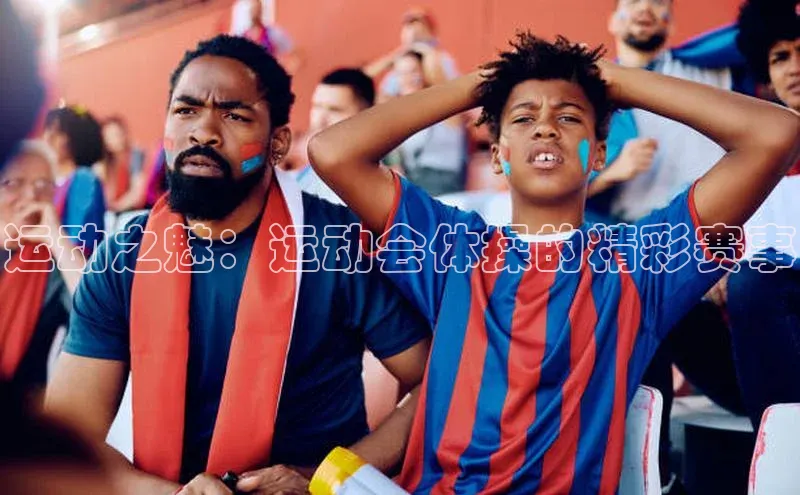 熊猫体育官方网站