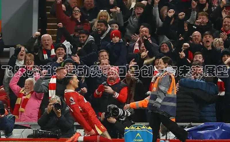 熊猫体育手机版下载