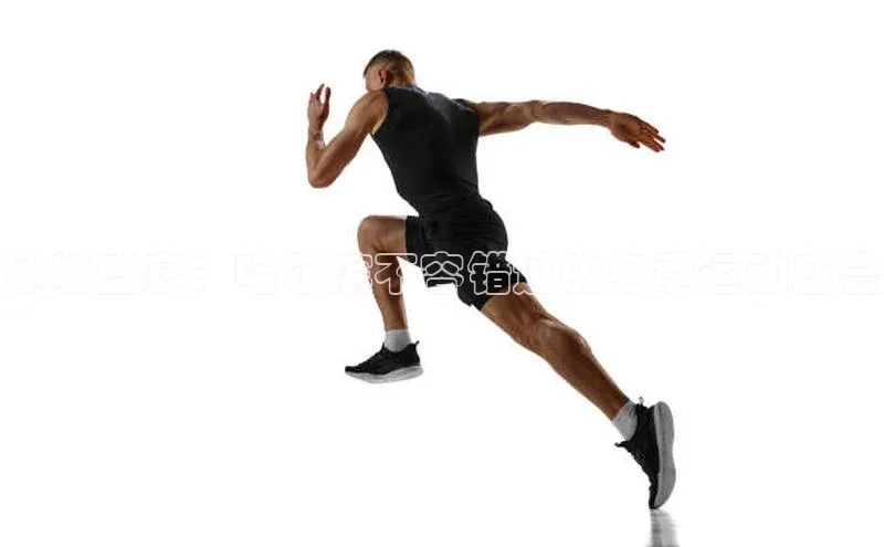 熊猫体育app官方入口