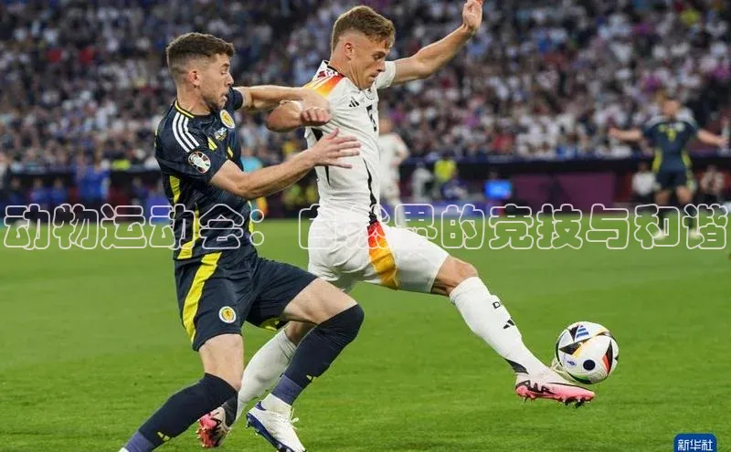 熊猫体育平台官网