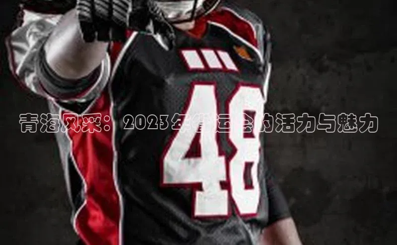 熊猫体育官网首页入口