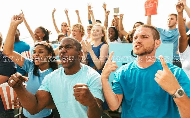 熊猫体育直播app下载