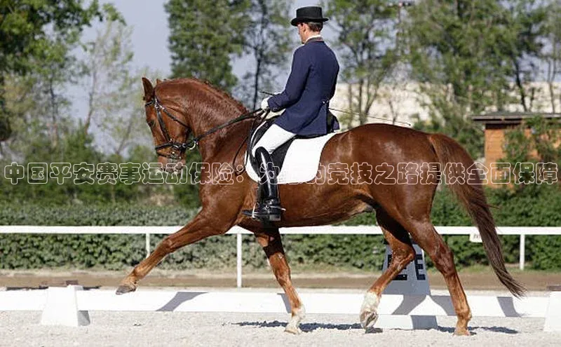 熊猫足球直播免费观看
