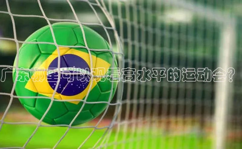 熊猫体育直播免费观看