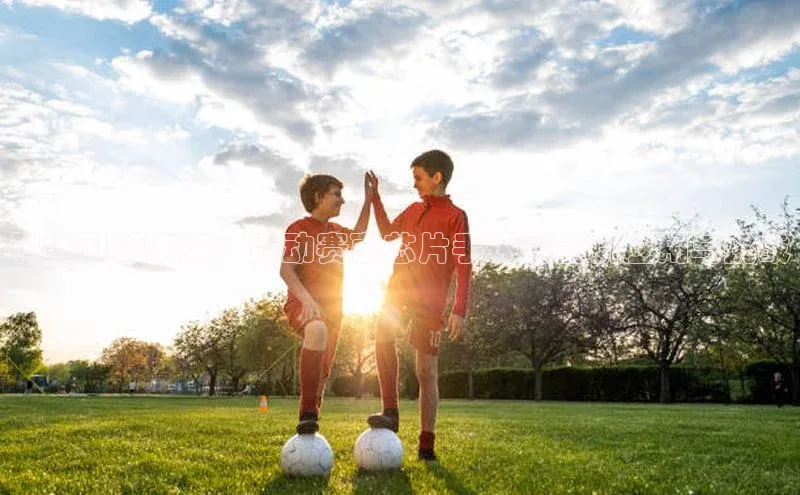 熊猫体育官方网站