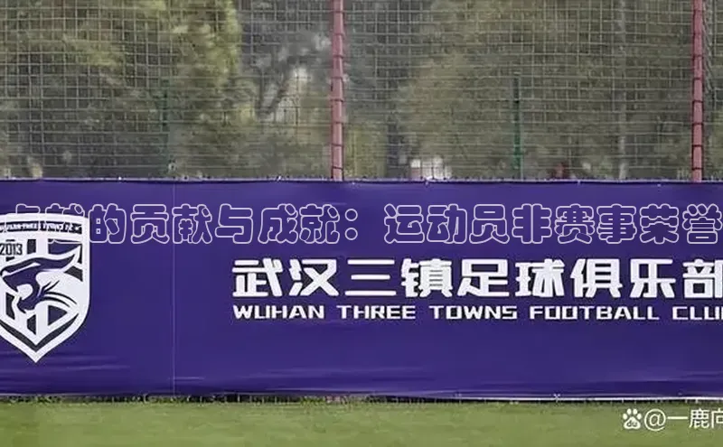 卓越的贡献与成就：运动员非赛事荣誉